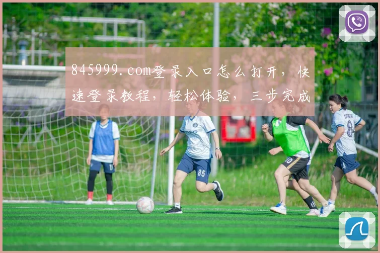 845999.com登录入口怎么打开，快速登录教程，轻松体验，三步完成，必看指南