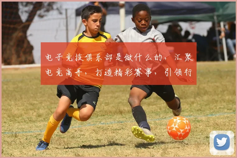 电子竞技俱乐部是做什么的，汇聚电竞高手，打造精彩赛事，引领行业发展，助力电竞梦想。
